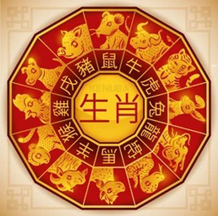 11 Most Auspicious Nakshatras for Marriage